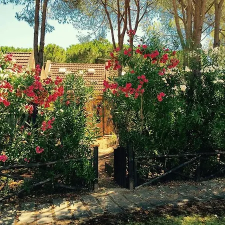 Casa vacanze Renata Santa Margherita di Pula